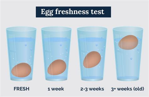 how to check fresh eggs.